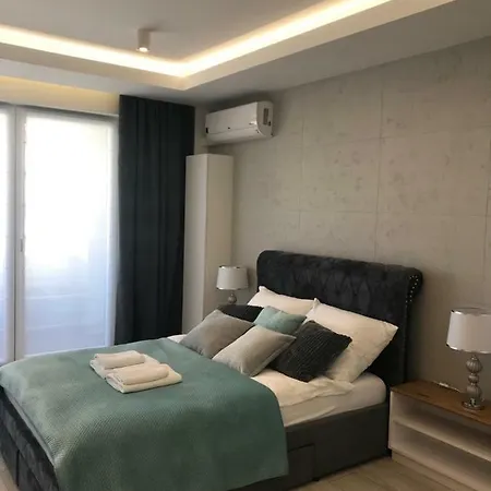 Dbd Gray Turkus * Szczecin