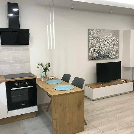 Dbd Gray Turkus * 什切青