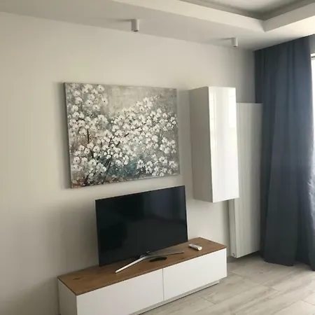 Dbd Gray Turkus * 什切青