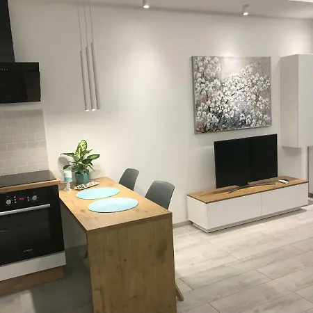 Dbd Gray Turkus * 什切青