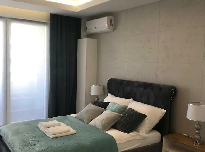 Dbd Gray Turkus * Щецин