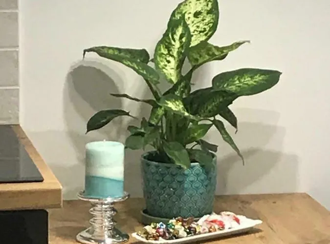 Dbd Gray Turkus Lägenhet Szczecin