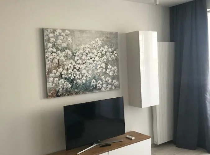 Dbd Gray Turkus * Щецин